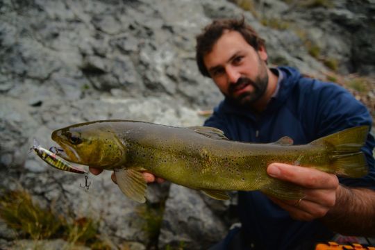 Les minnow coulant sont pertinents pour pêcher amont en rivière ou pour pêcher en lac