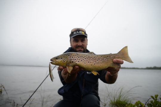 Une belle truite de lac capturée au lipless minnow