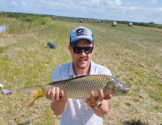 Prendre du plaisir à rechercher les carpes des canaux