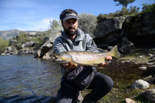 Les leurres souples finesses animé en dart sont très efficaces