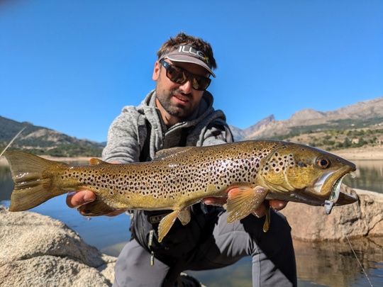 Ce petit shad représente plutôt un attrait alimentaire qu'une grosse bouchée incitative