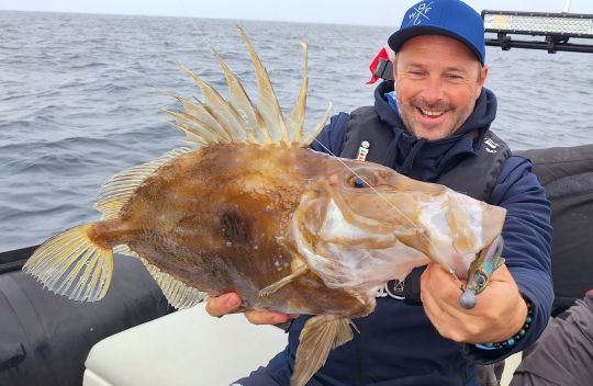 Pêche du saint-pierre avec de gros shads