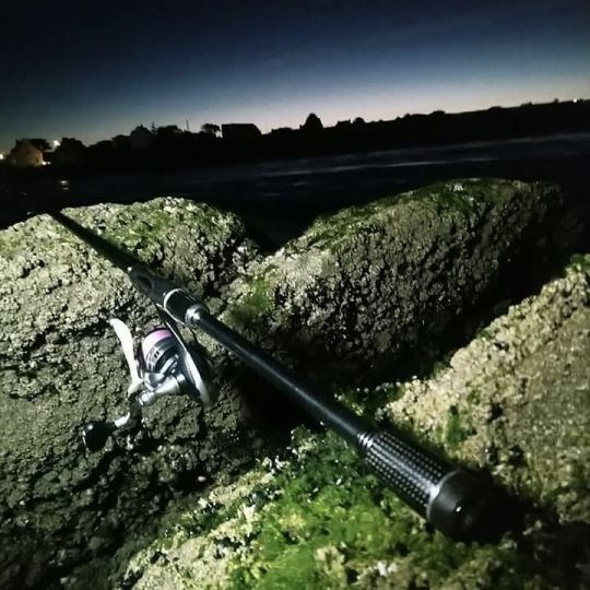 Une canne assez longue et surtout résonnante est indispensable pour pêche le bar de nuit.