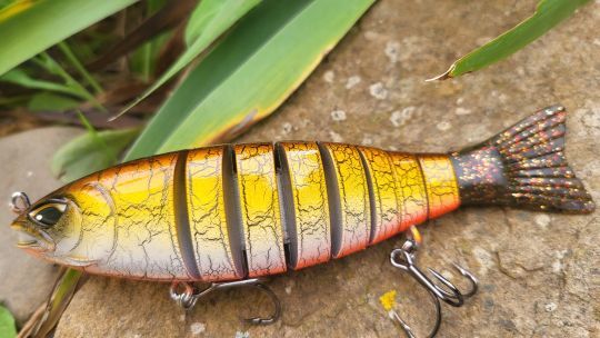 Un joli swimbait pour rechercher les carnassiers