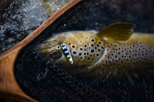 La pêche en rivière génère des sensations qu'on ne trouve pas en pêchant en lac