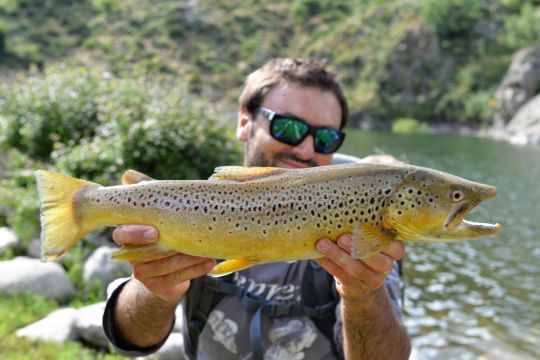 En lac les truites sont souvent de belle taille