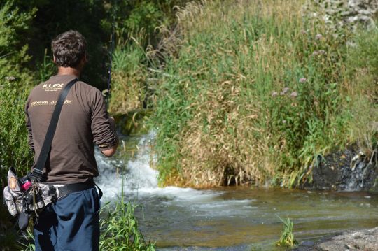 En été, pêcher amont permet de battre du terrain à la recherche de poissons actifs