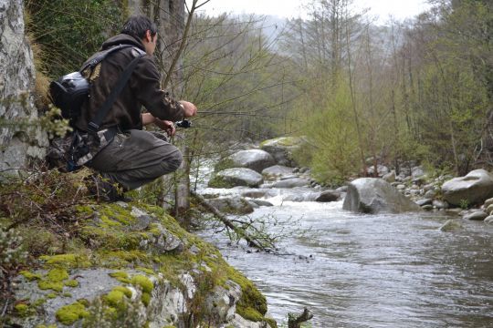 La pêche amont est très efficace dans les petites rivières