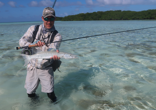 Petit barracuda pris avec une canne à bonefish 