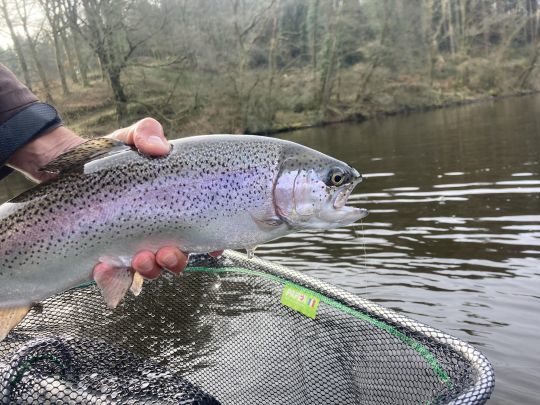 Trouver la pêche n'est jamais aisé en réservoir et il faut constamment chercher comment prendre les truites qui une fois piquées sont beaucoup plus méfiantes! 