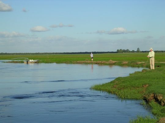 Le dorado peut aussi se pêcher du bord sur certains secteurs et rivières. 