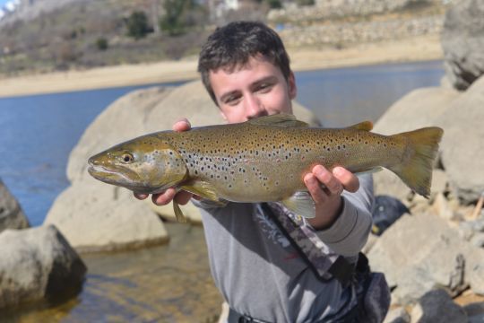 Les gros sujets sont présents en lac de barrage