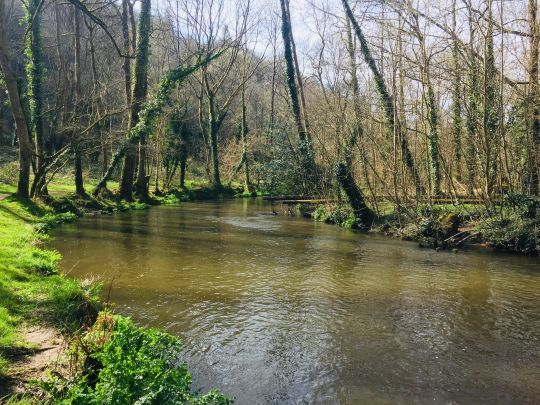 Ce genre de poste est idéal pour la noyée qui sera souvent plus efficace que d'autres techniques pour trouver les poissons se nourrissant entre deux eaux