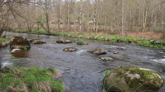 La fin du plat mais aussi toutes les petites veines de courant se pêche très bien en noyée qui s'adapte à tous les profils et présente les mouches différemment que la nymphe