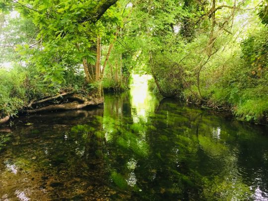 La pêche en petites rivières s'abordent différemment