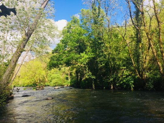 Secteur idéal pour la nymphe au fil avec une multitude de postes dans les différentes veines de courant