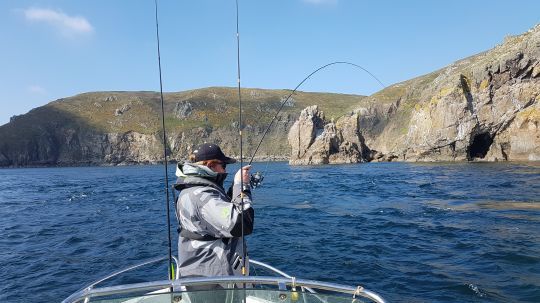 Près du rivage, l'eau se réchauffe plus vite qu'au large. L'activité des bars y sera plus importante.