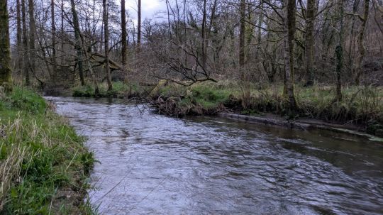 Quel plaisir de retourner à la rivière après cette longue attente. Les conditions sont vraiment parfaites.