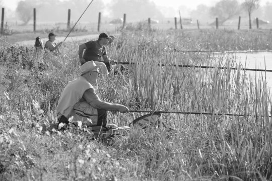 Le chevesne peut se pêcher au coup