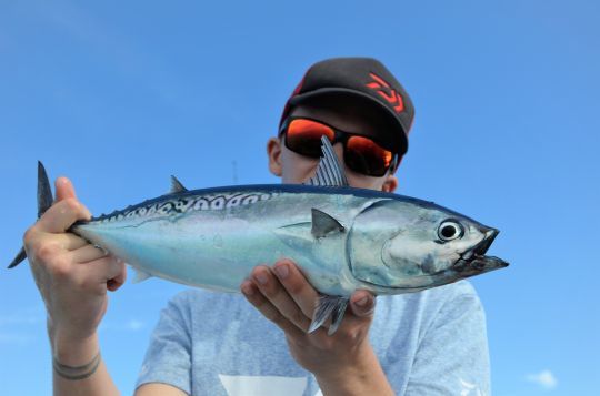 Pêche en mer et en eau douce, il y en a pour tous