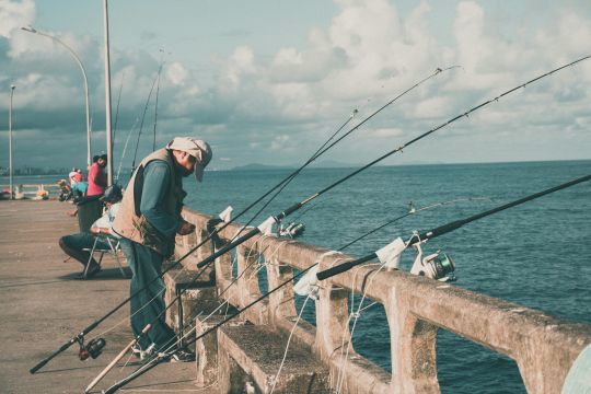 Les jetées, des spots de pêche à prospecter