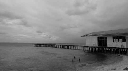 Le ponton de la ferme