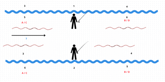 Ligne Pêche Mouche Spey #8/9 - 38 Mètres - Tricolore Pour Grandes Rivières Et Contrôle Optimal