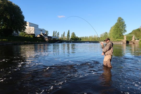 Les lancers Spey cast permettent de pêcher les poissons migrateurs mais pas que! Ici l'auteur au fer avec une alose