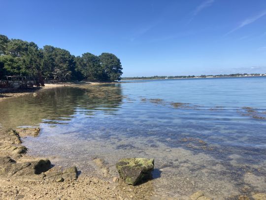 La Bretagne regorge de très bons coins pour rechercher le bar à la mouche