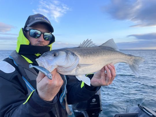 C'est souvent lors de la descente que les poissons attaquent. À ce petit jeu, le Master Shad de Fiiish est redoutable.