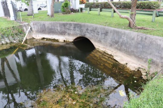 Les passages sous les routes sont des spots à privilégier.