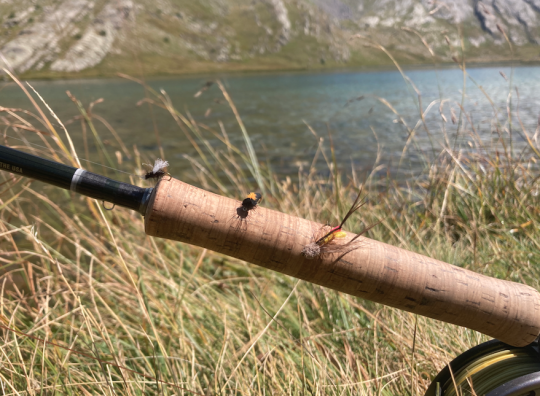 En été l'utilisation de terrestres peut bien fonctionner pour la pêche en lac (sauterelle, moucheron et scarabées)