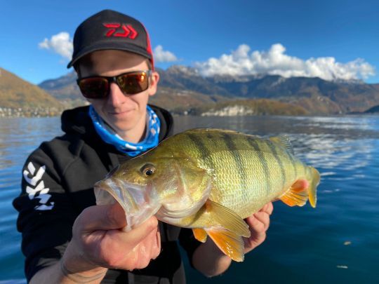 Des poissons plus gros ?