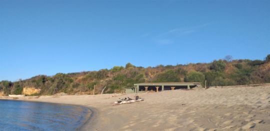 Un poisson à rechercher sur le sable.