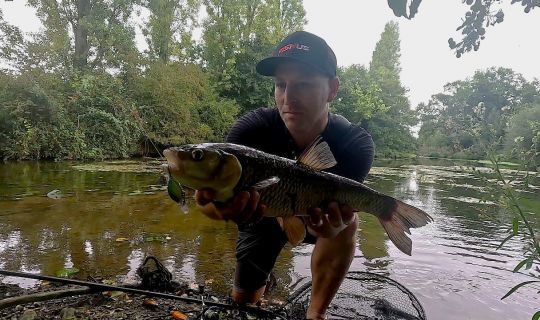 Un Assault Crank de chez Fishus aura décidé ce beau spécimen.
