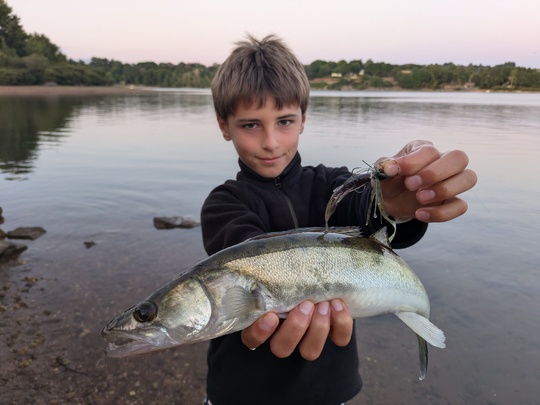 Le sandre raffole des ecrevisses et des micro jigs