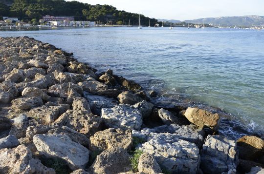 Du bord, pêcher la sortie des ports bordées de digues rocheuses pour trouver des congres.