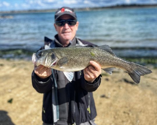 Un stagiaire de Pesketa avec un gros bar de la baie de Morlaix.