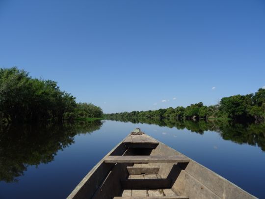 À la sortie de la saison des pluies, les rivières des plaines d'Amazonie débordent dans la jungle avoisinante.