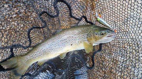 Le plaisir simple de prendre un poisson.