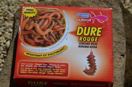 Les vers dures, de bons appâts pour rechercher les mulets.