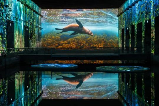 © Culturespaces / Vincent Pinson