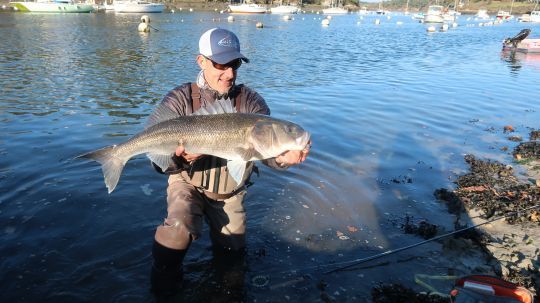 Un bar de plus de 5 kg qui aura tout tenté me casser dans les corps-morts que l'on voit derrière moi. Savoir combattre les gros poissons, avoir le matériel adapté, et avoir identifier les obstacles m'auront permis de sortir ce bar de 82 cm pris à vue!
