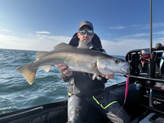 Pour pêcher sur une épave et cibler spécifiquement les lieux jaunes, il est conseillé de choisir un coefficient de marée peu élevé, afin de ne pas être gêné par une dérive trop rapide.