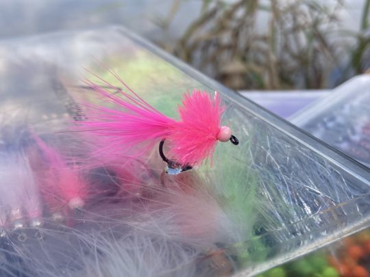 La tagada fly est une mouche sortie de mon imagination en employant de la chenille blob sur un streamer avec une queue très mobile. Un aimant à truite ! 