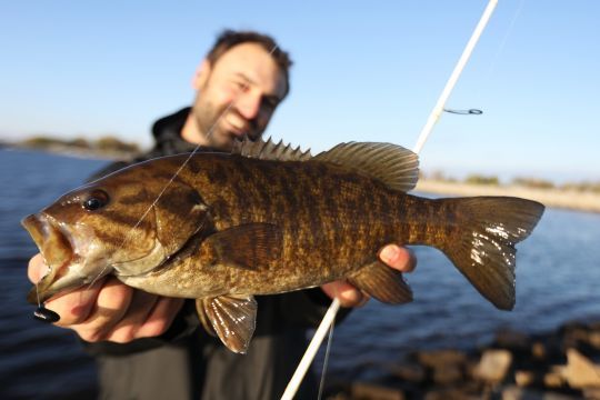 Nous avons dû faire la connaissance de nouvelles espèces comme ce black-bass à petite bouche