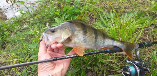 S'amuser m&ecirc;me en hiver.