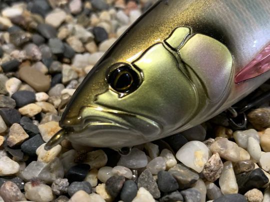 On peut y ajouter un plomb clip.