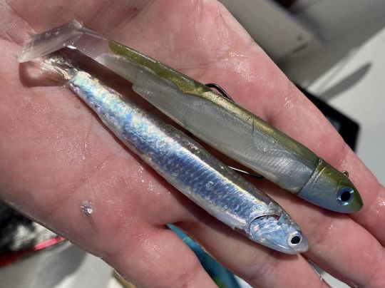 Tenez toujours compte de la taille des proies chass&eacute;es pour s&eacute;lectionner votre leurre.