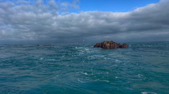 Ces zones, tr&egrave;s expos&eacute;es, abritent de beaux poissons. La pression de p&ecirc;che est faible et les pr&eacute;dateurs le savent. En revanche, une profondeur trop importante rend quasi impossible la p&ecirc;che de ces zones, ou la vitesse de d&eacute;rive est souvent au-del&agrave; de 5 n&oelig;uds.